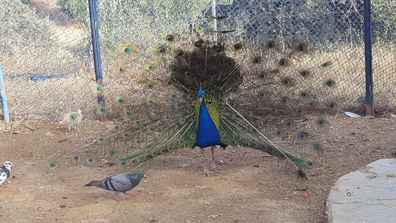 Relais De Tahla 호텔 Aïn Bou Mahdi 외부 사진